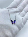 Prism Butterfly